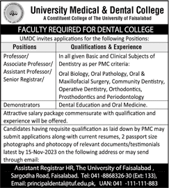 Teaching Faculty Jobs in University Medical and Dental College Faisalabad November 2023 Latest