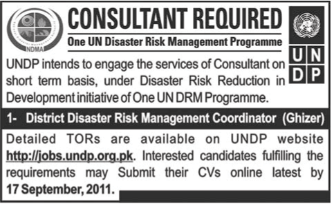 Job in United Nations Development Programme (UNDP)