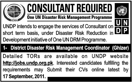 Consultant Required in UNDP