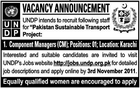 Component Manager (CM) Required by UNDP
