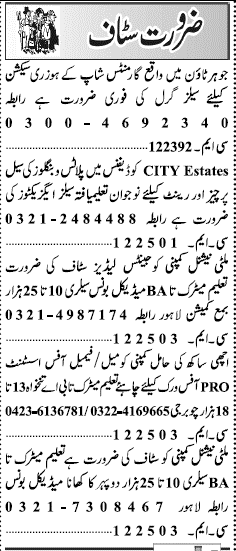 Misc. Jobs in Lahore Jang Classified 2