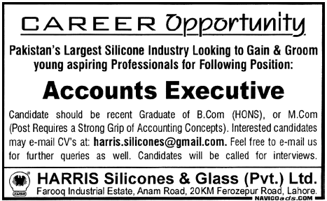 Accounts Executive Required by HARRIS Silicones & Glass Pvt Ltd.