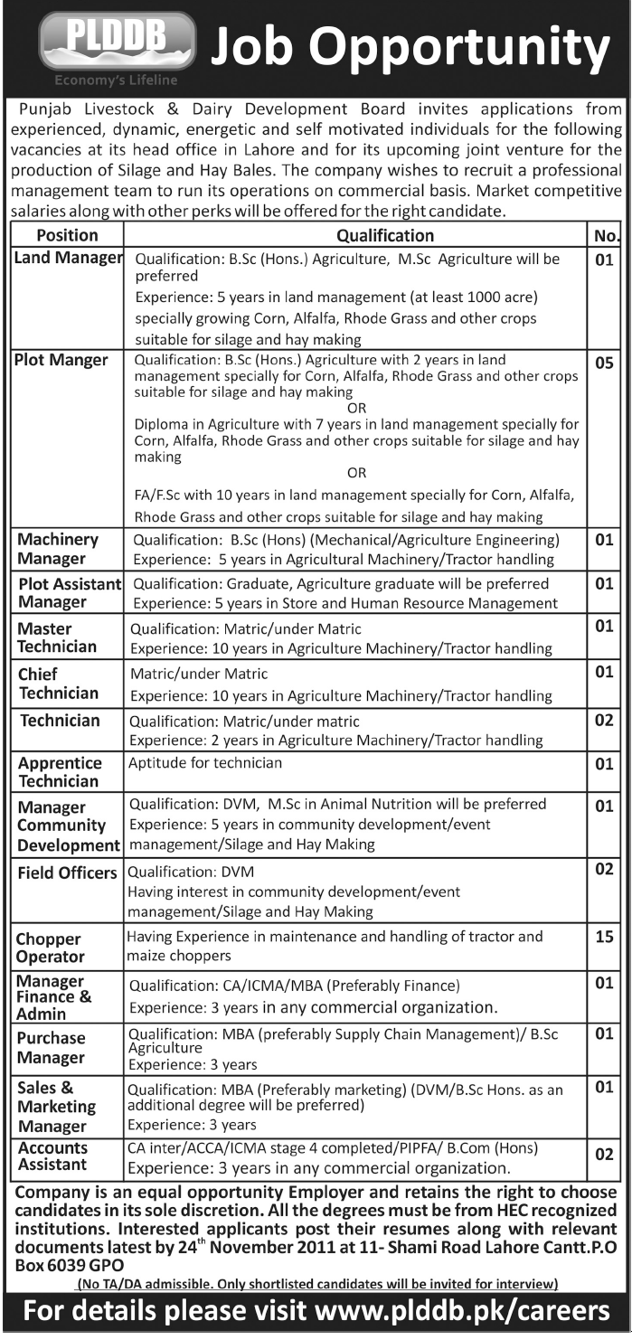 PLDDB Jobs Opportunity