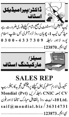 Misc. Jobs in Lahore Jang Classified 2