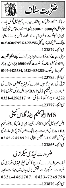 Misc. Jobs in Lahore Jang Classified 4