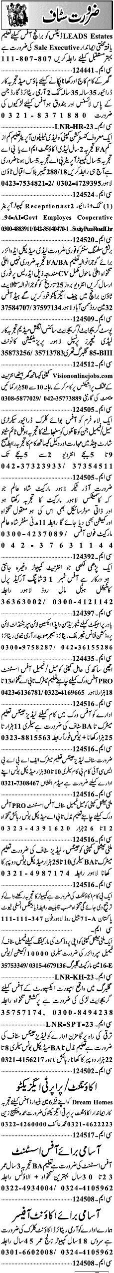 Misc. Jobs in Lahore Jang Classified 2