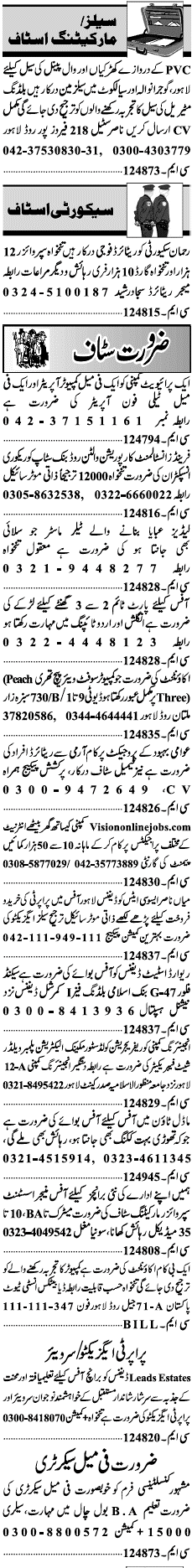 Misc. Jobs in Lahore Jang Classified 2