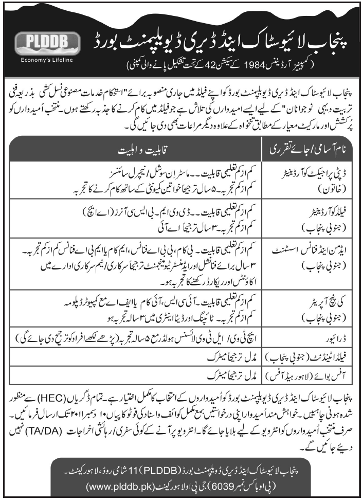 Punjab Livestock and Dairy Department Board Jobs Opportunity