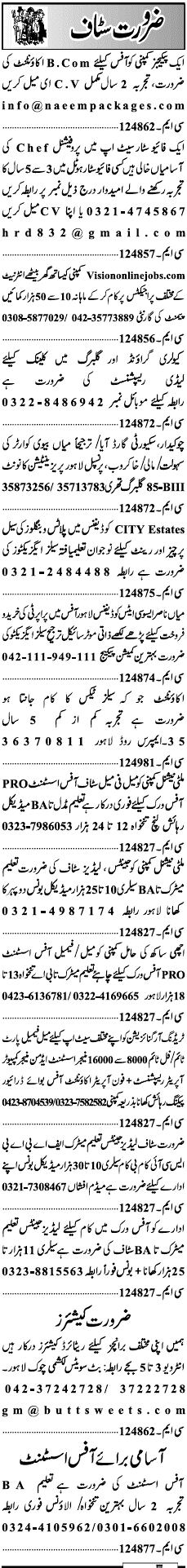 Misc. Jobs in Lahore Jang Classified 2