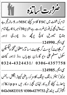 Misc. Jobs in Lahore Jang Classified 1