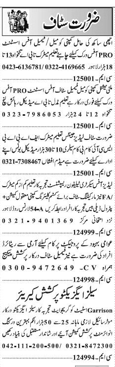 Misc. Jobs in Lahore Jang Classified 3