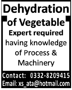 Expert Required for Dehydration of Vegetable