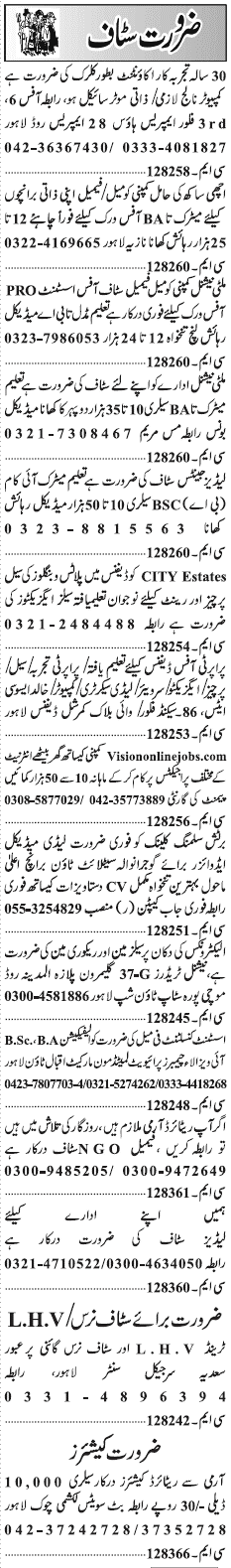 Misc. Jobs in Lahore Jang Classified 2