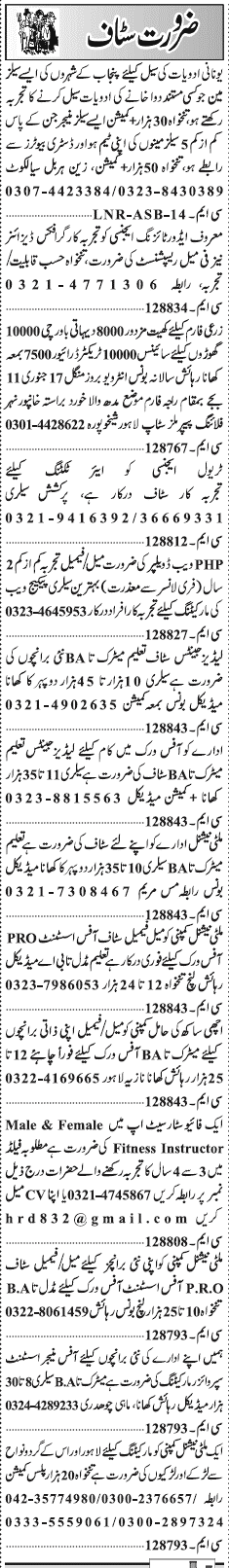 Misc. Jobs in Lahore Jang Classified 2