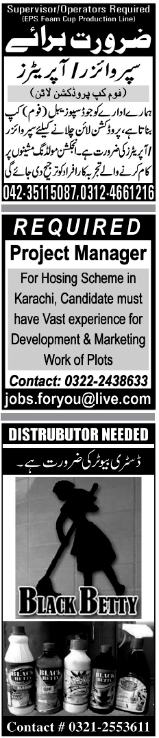 Misc. Jobs in Karachi Jang Classified 1