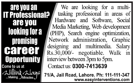 Willing Ways Lahore Required IT Professional