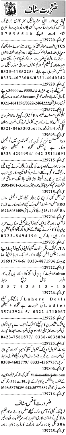 Misc. Jobs in Lahore Jang Classified 3