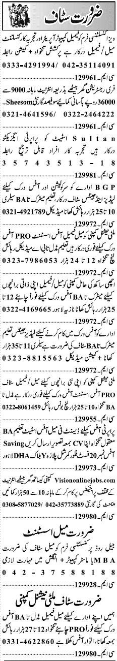 Misc. Jobs in Lahore Jang Classified 2