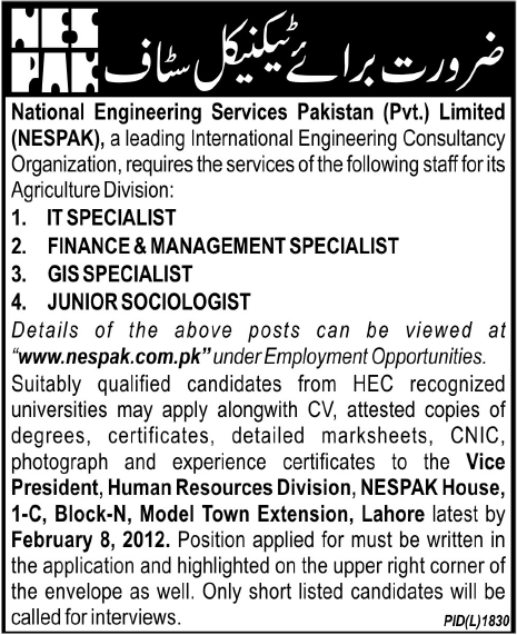 NESPAK Jobs Opportunity