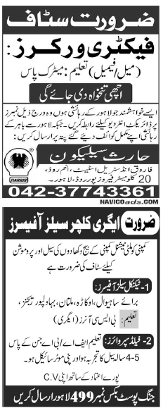 Misc. Jobs in Lahore Jang Classified 4
