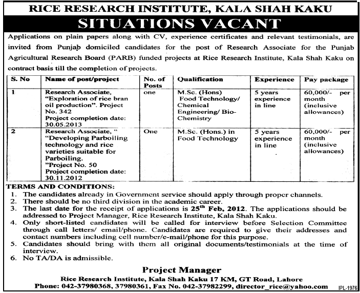 Rice Research Institute, Kala Shah Kaku Required Research Associates