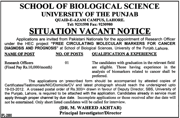 School of Biological Science, University of the Punjab Jobs Opportunity