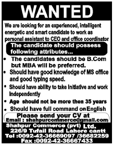 Personal Assistant/Office Coordinator Jobs