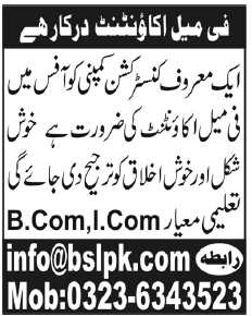 Female Accountant Jobs