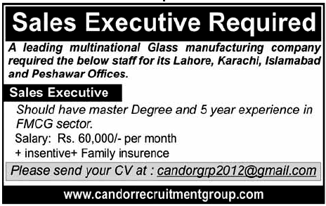 Sales Executive Jobs