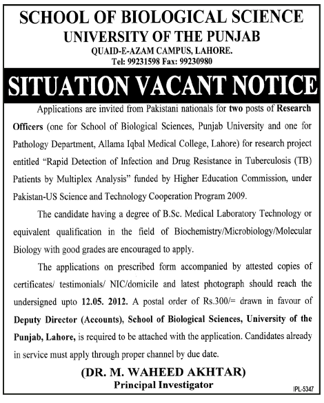 School of Biological Science, University of the Punjab (Govt.) Jobs