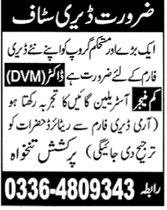 Dairy Staff Required