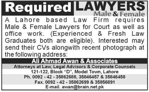 Lawyers Required at Law Firm