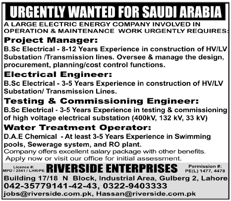 Electrical Engineering Staff and Technical Staff Required by a Large Electric Energy Company