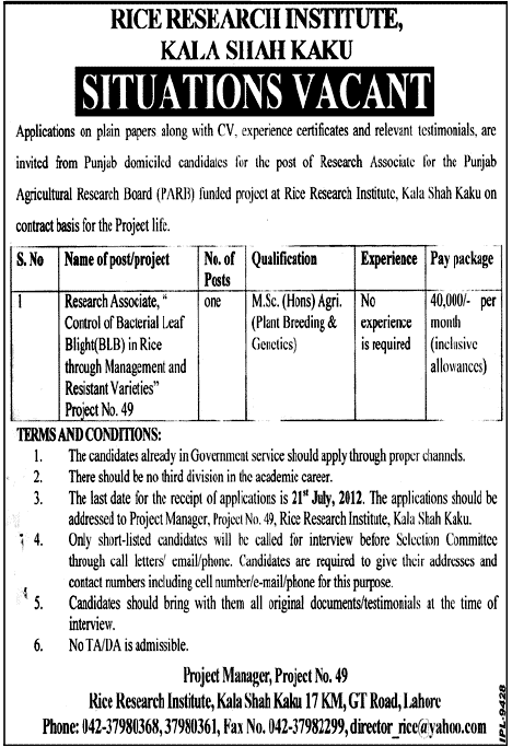 Research Associate Job at Rice Research Institute Under PARB (Govt. job)