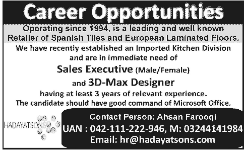 Sales Executive and 3D-Max Designer Jobs