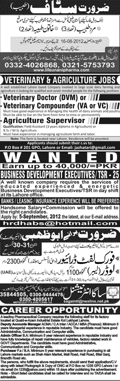 Misc. Jobs in Lahore Jang Classified 3