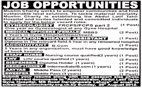 Medical Staff and Accountant Needed by a Hospital