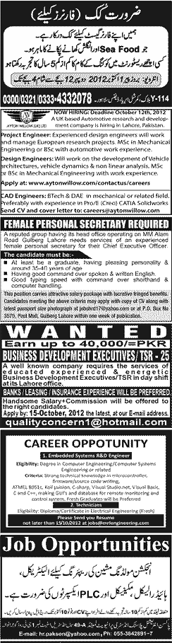 Classified Lahore Jang Misc. Jobs 5