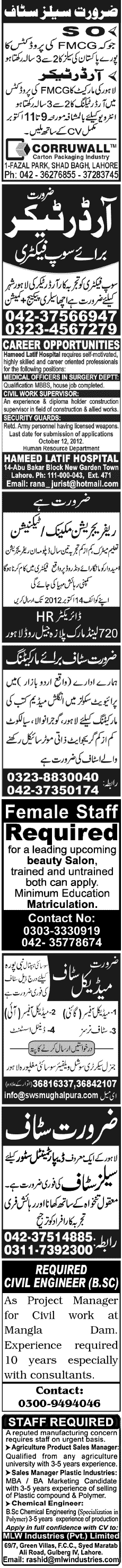 Misc. Jobs in Lahore Jang Classified 5