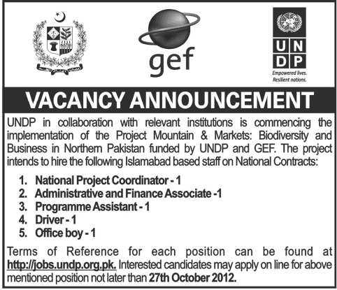 Jobs in UNDP