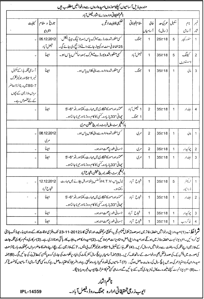 Ayub Agricultural Research Institute (AARI) Jobs