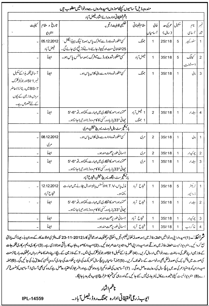 Staff Jobs in Ayub Agricultural Research Institute (AARI)