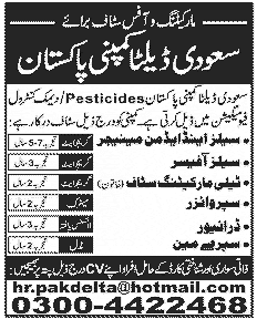 Saudi Delta Company Pakistan Jobs