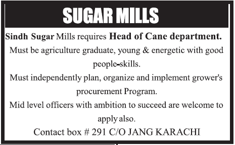 Sindh Sugar Mills Requires Head of Cane Department
