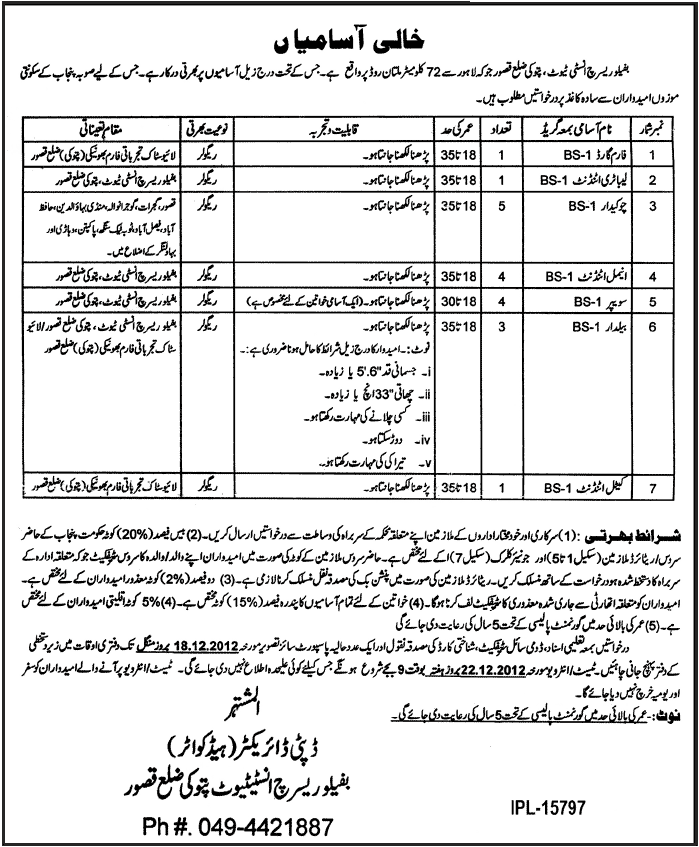 Buffalo Research Institute Pattoki Jobs 2012