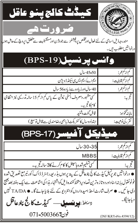 Vice Principal & Medical Officer Jobs at Cadet College Pano Aqil