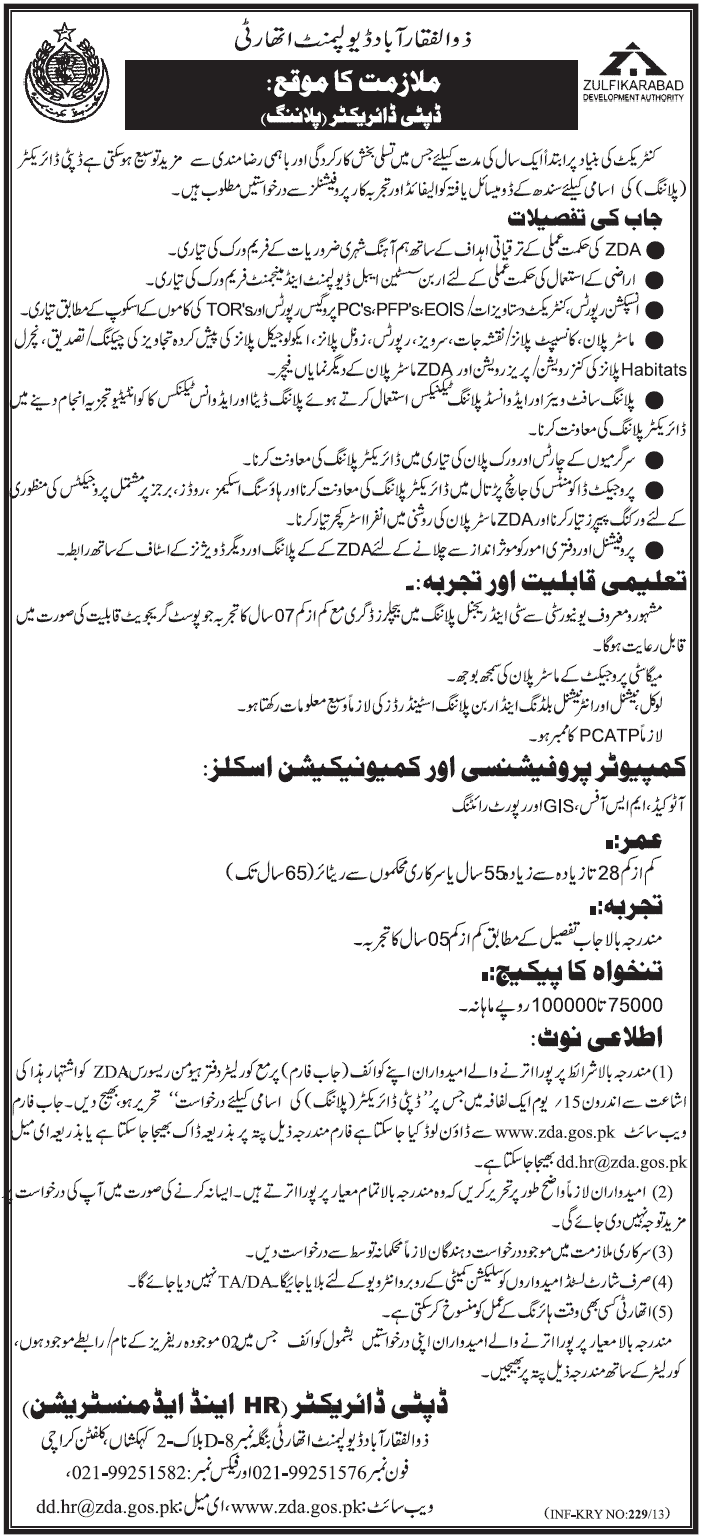 Deputy Director Planning Job in ZDA 2013