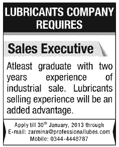 Sales Executive Job at Professional Lubes