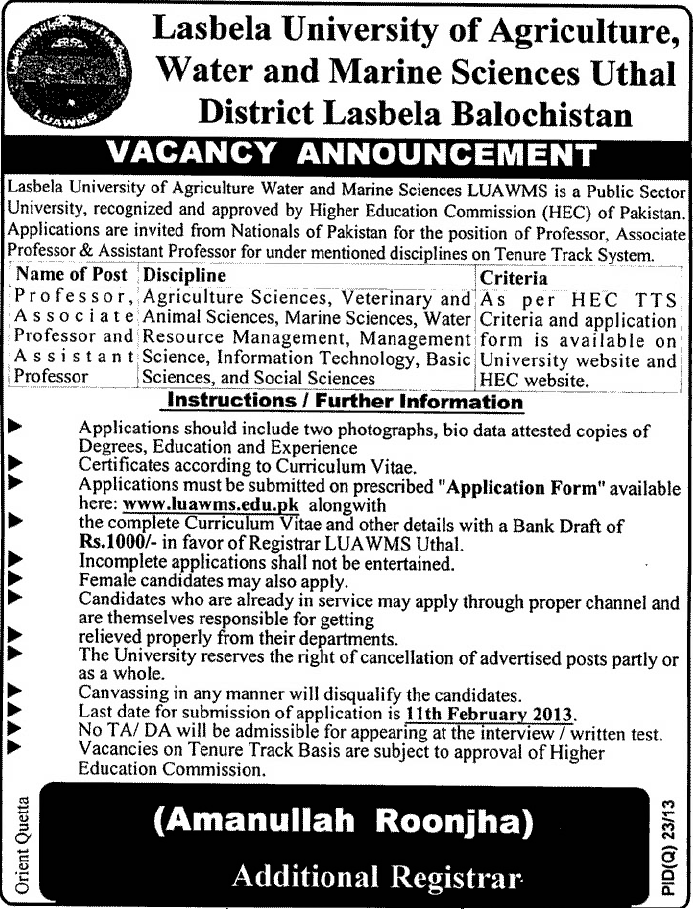 LUAWMS Lasbela Jobs 2013 for (Associate/Assistant) Professors