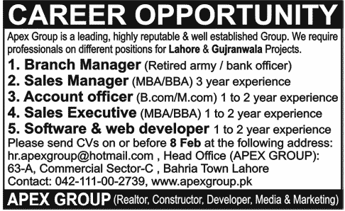 Apex Group Jobs 2013 for Branch/Sales Managers & Account/Sales/IT Staff
